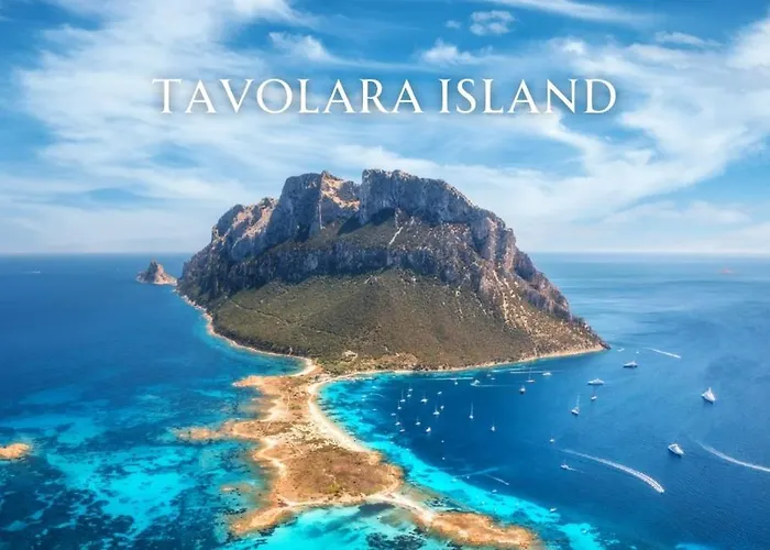 Olbiamare Di Lusso Apartment *